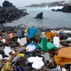 plastic litter